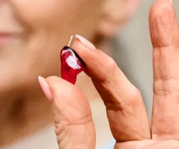 Hearing aid model